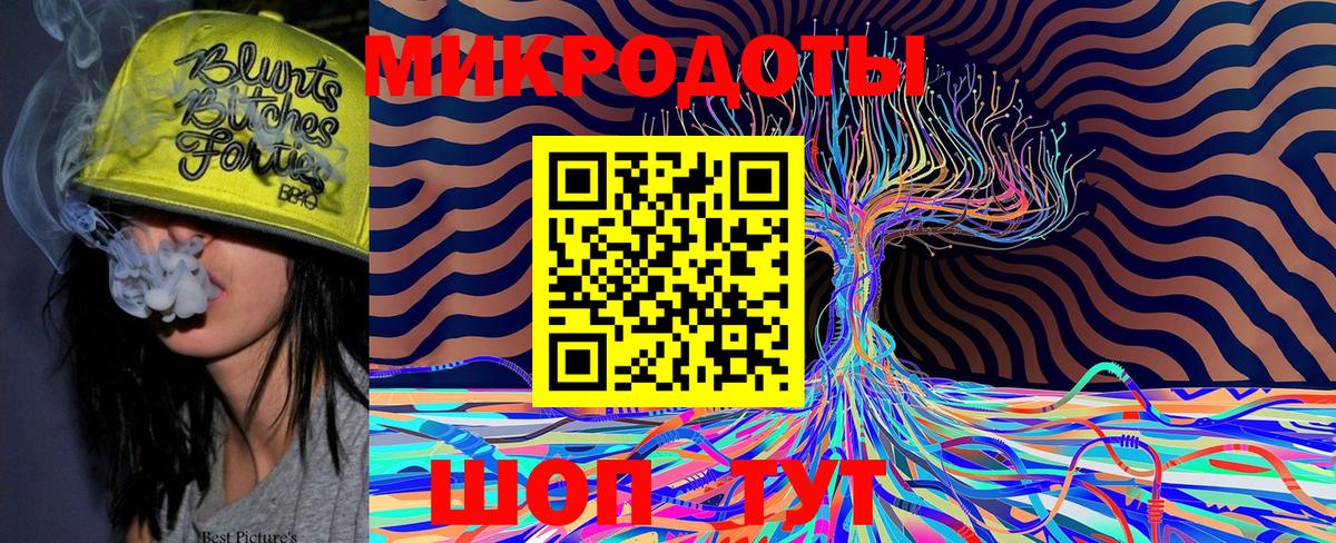 Псилоцибиновые грибы мухоморы Димитровград