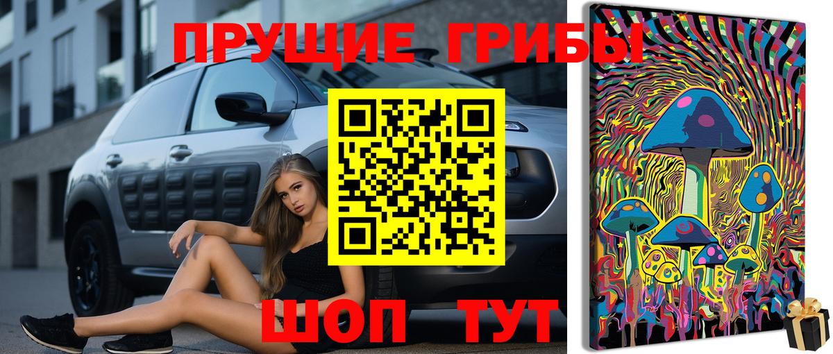 Димитровград  Галлюциногенные грибы мицелий  Псилоцибиновые грибы Psilocybe  Вход с VPN 