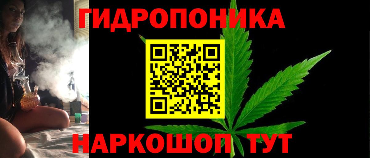 МАРИХУАНА семена  Канабис SATIVA & INDICA  Димитровград  Вход с VPN 
